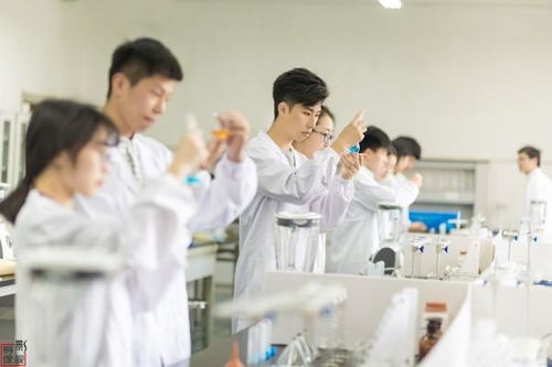 农产品检测的关键项目与教育项目研发的价值